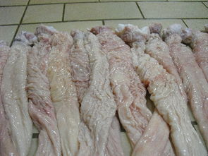 供应提供冷冻猪大肠