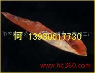 供应牛柳 牛里脊