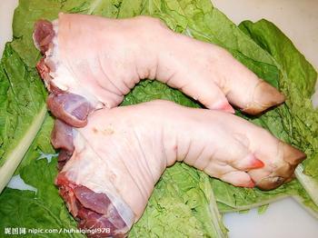 供应加拿大冻品猪脚，猪肚，猪蹄