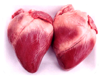 求购冷冻猪心、猪肚、猪脚