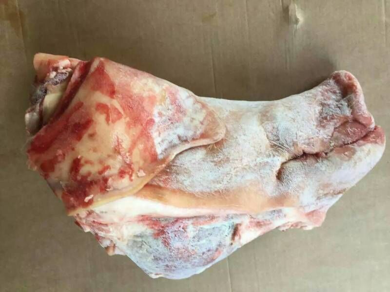 供应冷冻猪头