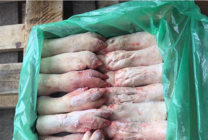 供应德国202猪肘子，猪头