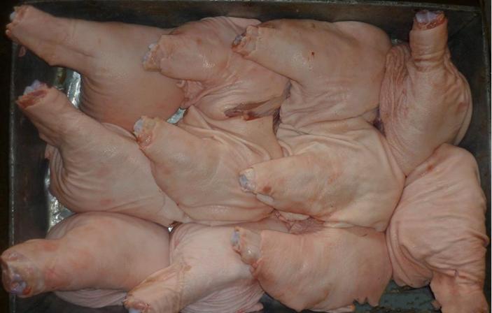 供应猪肘子，猪天梯，猪口条