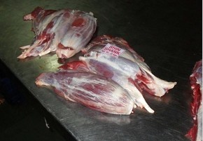 供应牛板筋，牛后腿肉