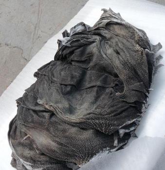 供应冷冻牛白叶，牛霖肉