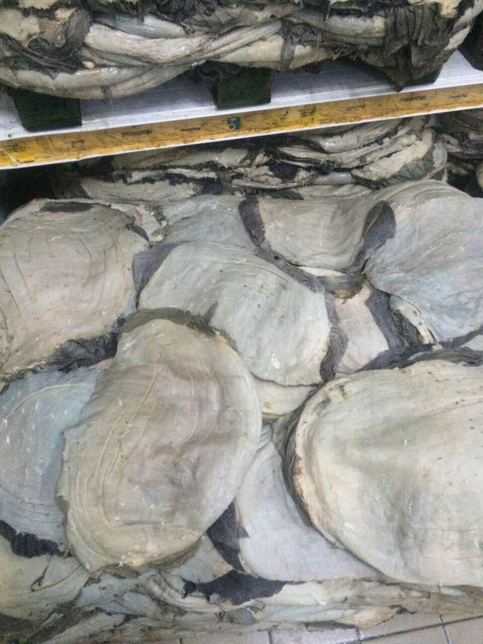 供应盐渍干水牛百叶