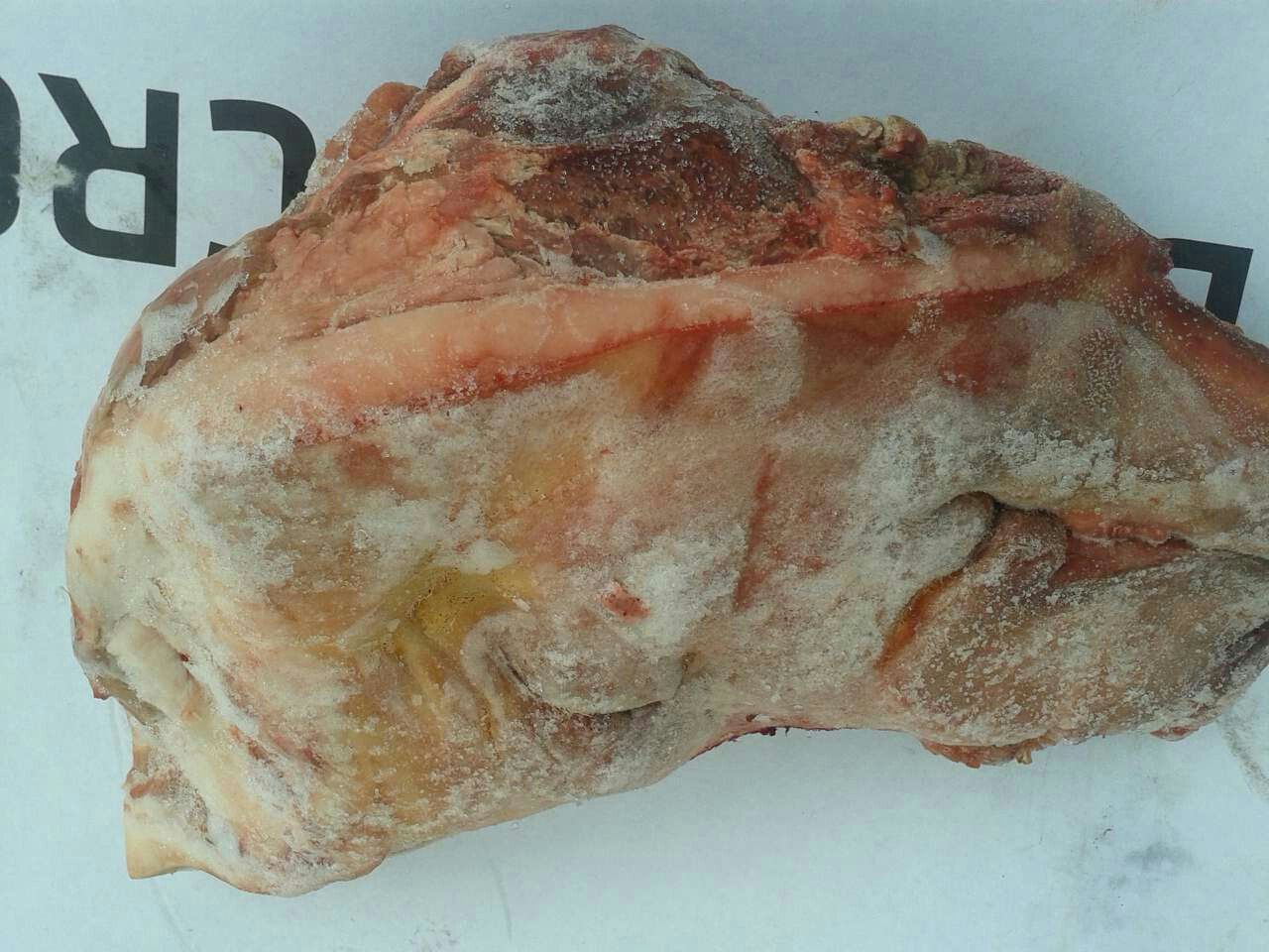 供应加拿大508厂猪头