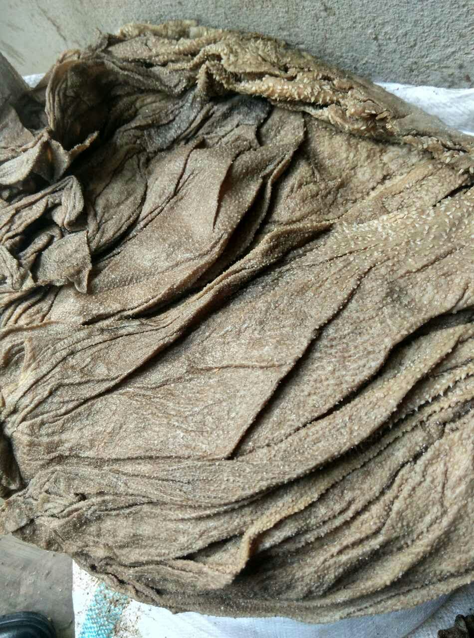供应盐渍牛百叶 盐毛肚