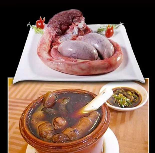 求购青海新鲜牦牛牛鞭