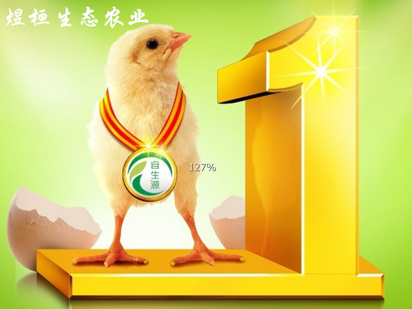 求购宣汉土鸡苗