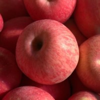 山东优质红富士苹果大量上市，货源充足保证质量