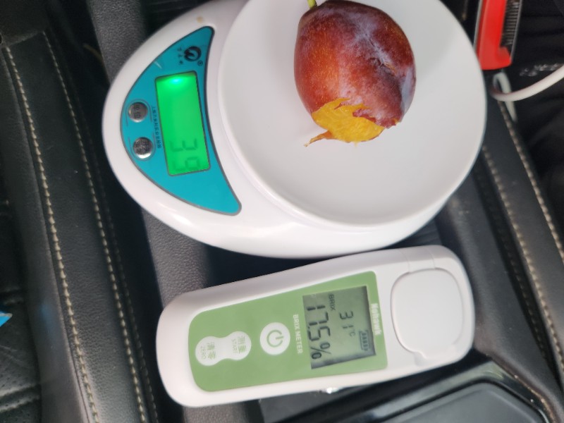 新疆鲜宏商贸服务有限公司