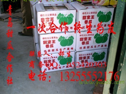 甜瓜批发市场批发日本甜宝绿皮甜瓜青岛莱西甜瓜批发