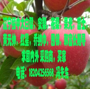 常年代收辽宁绥中富士苹果，黄元帅，乔纳巾，韩富寒富苹果