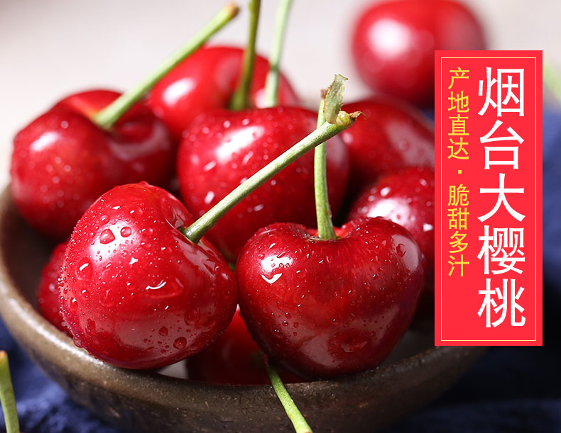 【烟台福山大樱桃先锋现货产地直发】肉质丰满肥厚，吃起来多汁，甜酸可口的先锋大樱桃（大中小三种规格），三斤起批！