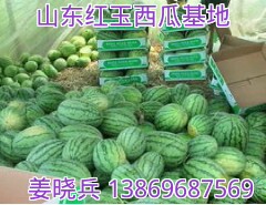 供应山东2K西瓜，小西瓜糖丸西瓜手掰西瓜产地直发