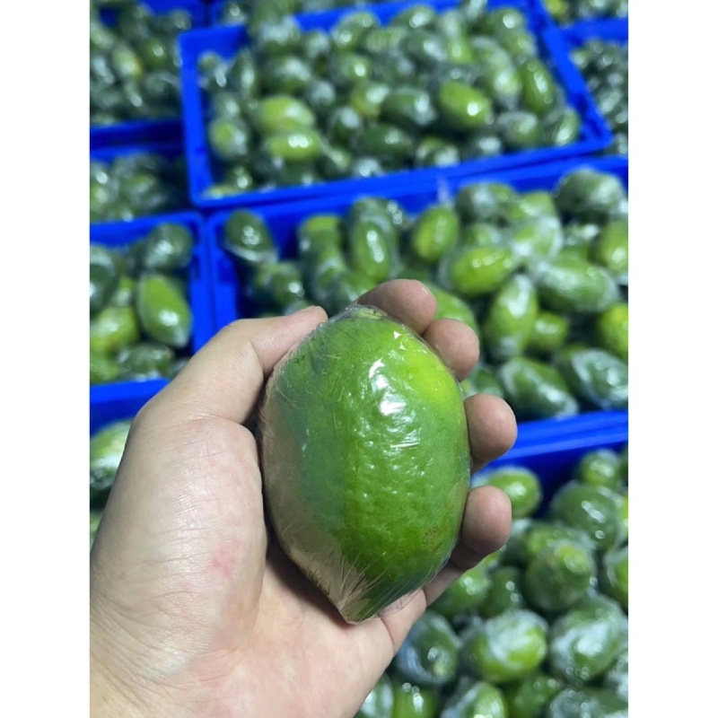 正宗广东香水柠檬