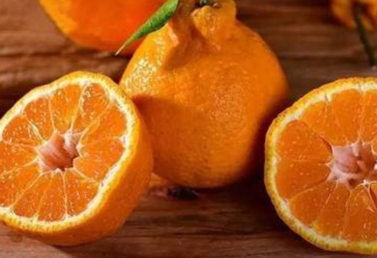 四川春见/不知火/晚椪