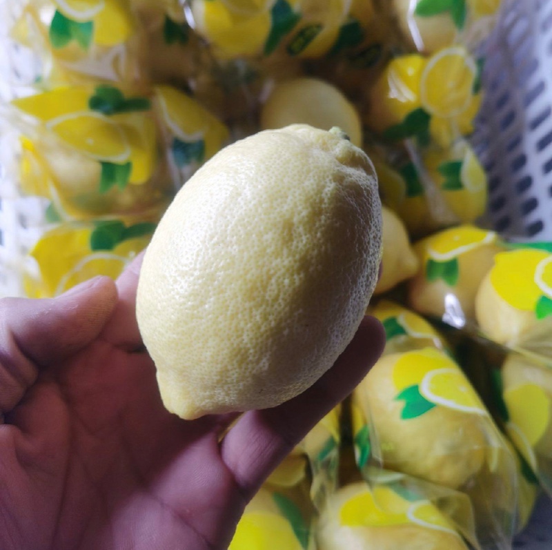 安岳尤力克柠檬