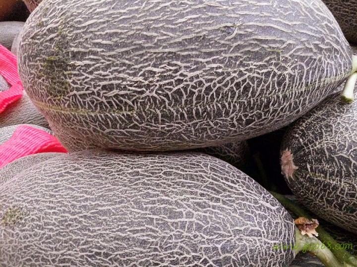 求购香瓜，甜瓜，人参果，圣女果，黄瓜，茄子等各种瓜果蔬菜