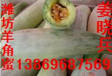 供应羊角蜜甜瓜