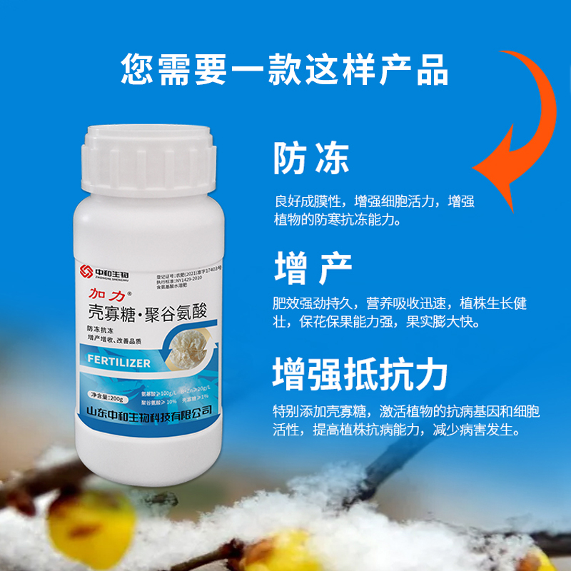 壳寡糖-聚谷氨酸