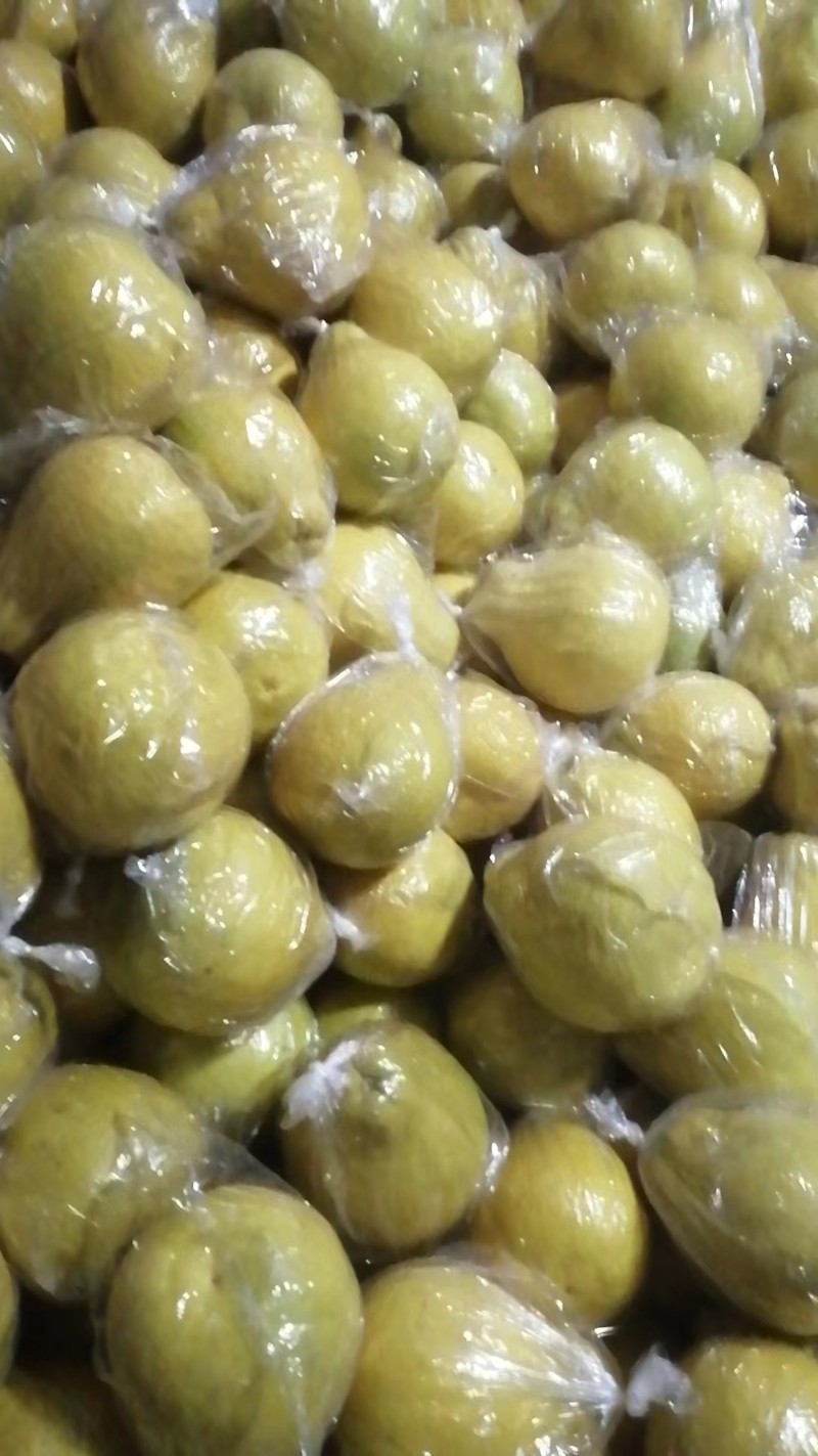 正宗江永沙田柚