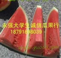 陕西杏子批发陕西西瓜批发陕西樱桃批发