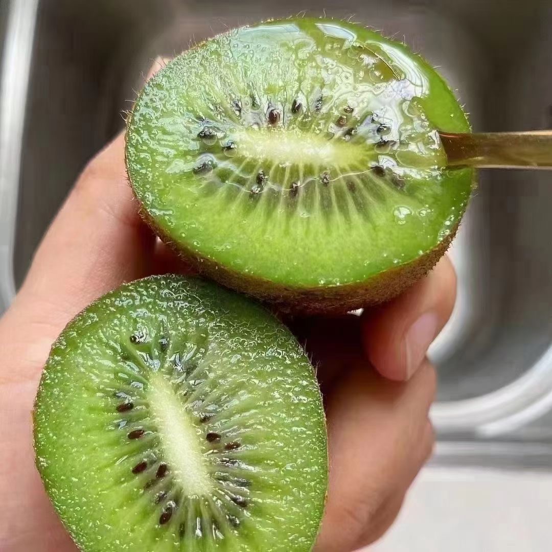 陕西周至翠香猕猴桃-礼盒装