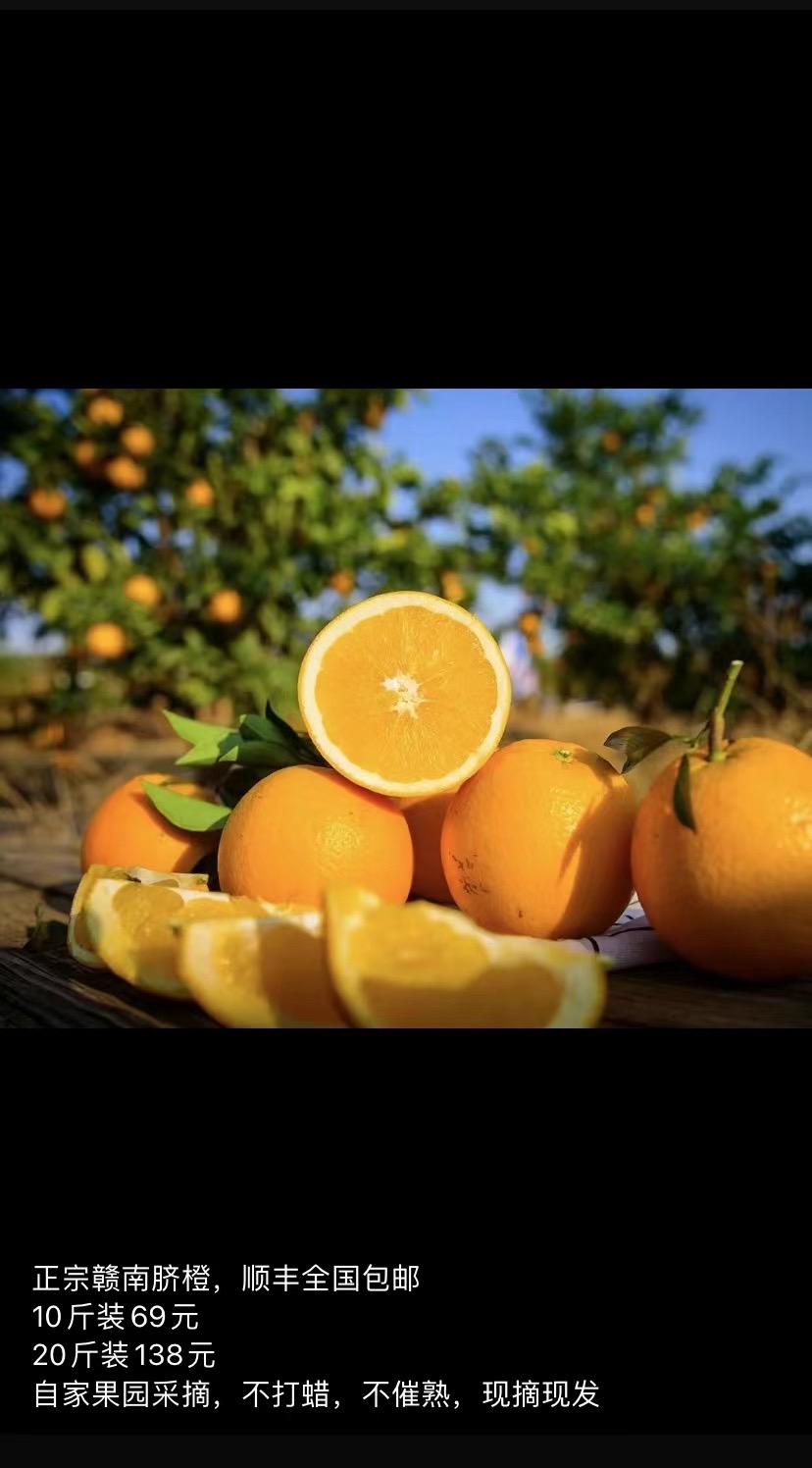 正宗赣南脐橙