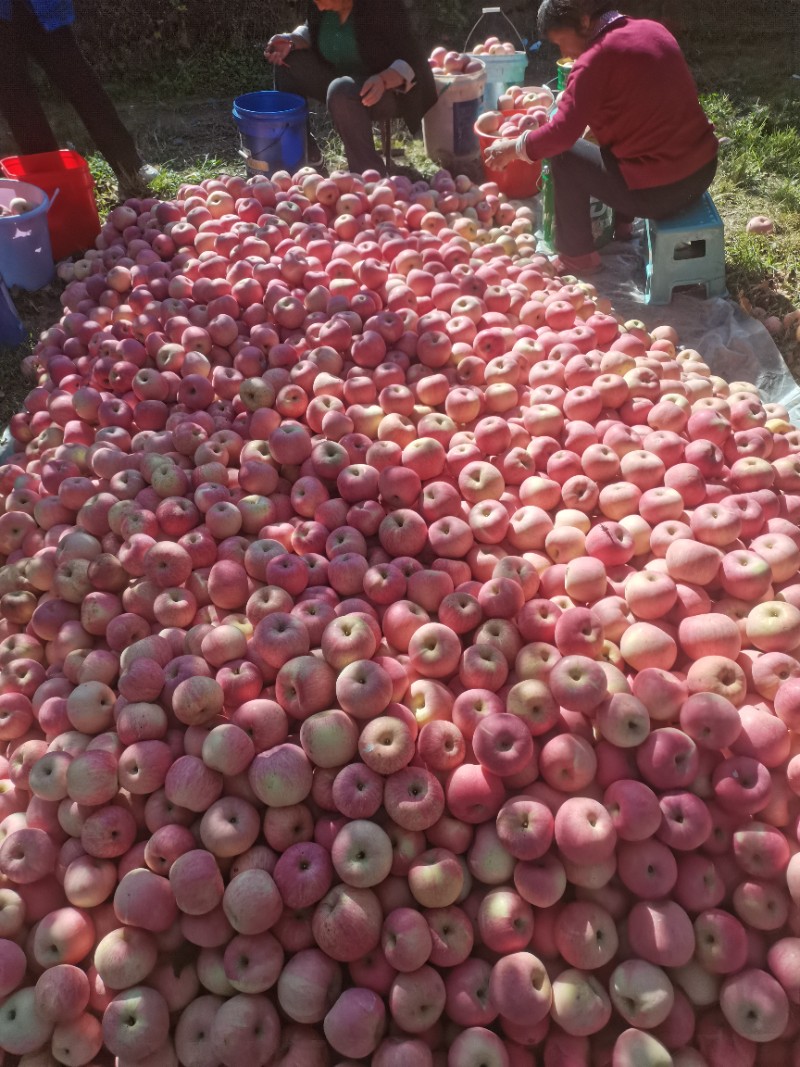 河北省邢台市沙河市蝉房乡