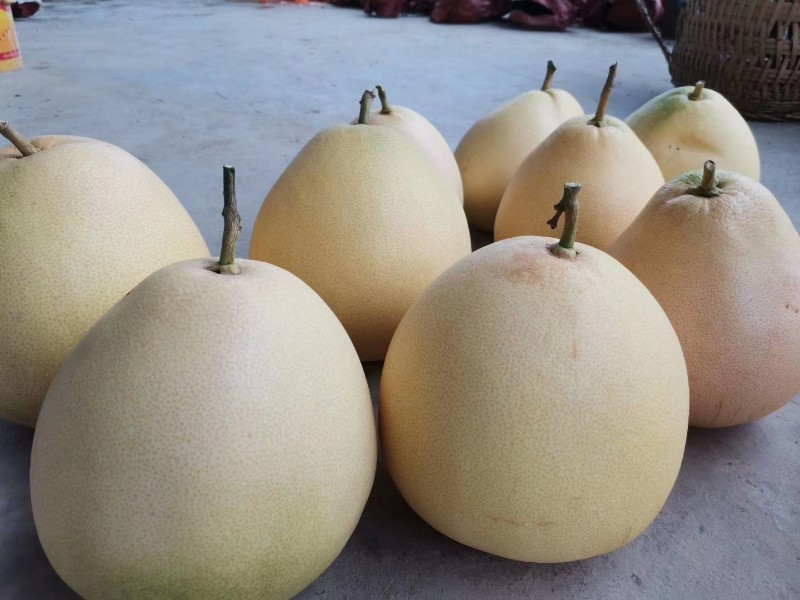 三红蜜柚，红心蜜柚