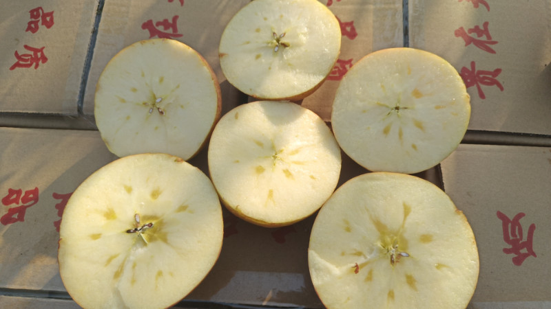 山西冰糖心红富士苹果