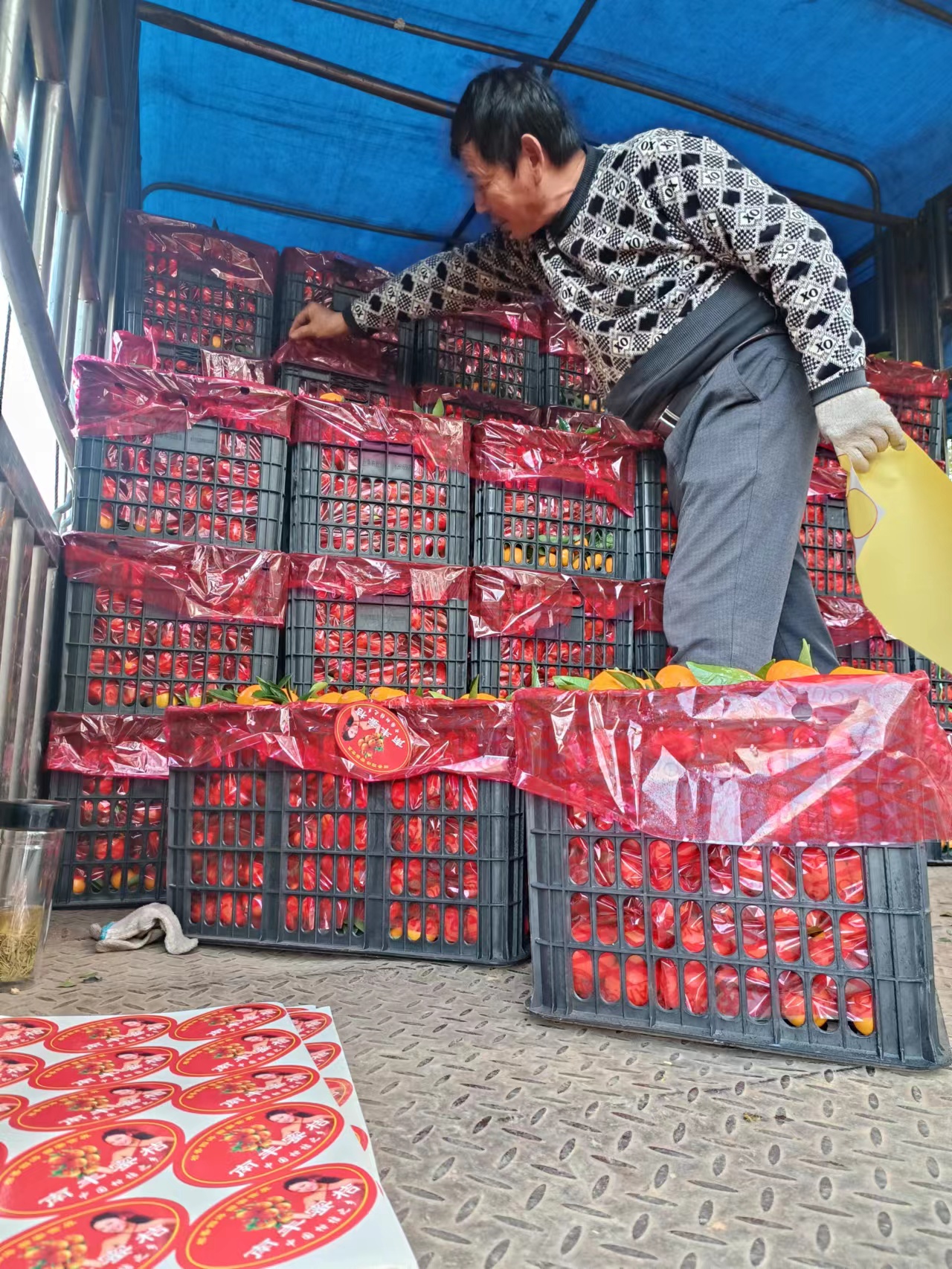 2026年湖北松滋柑橘批量上市