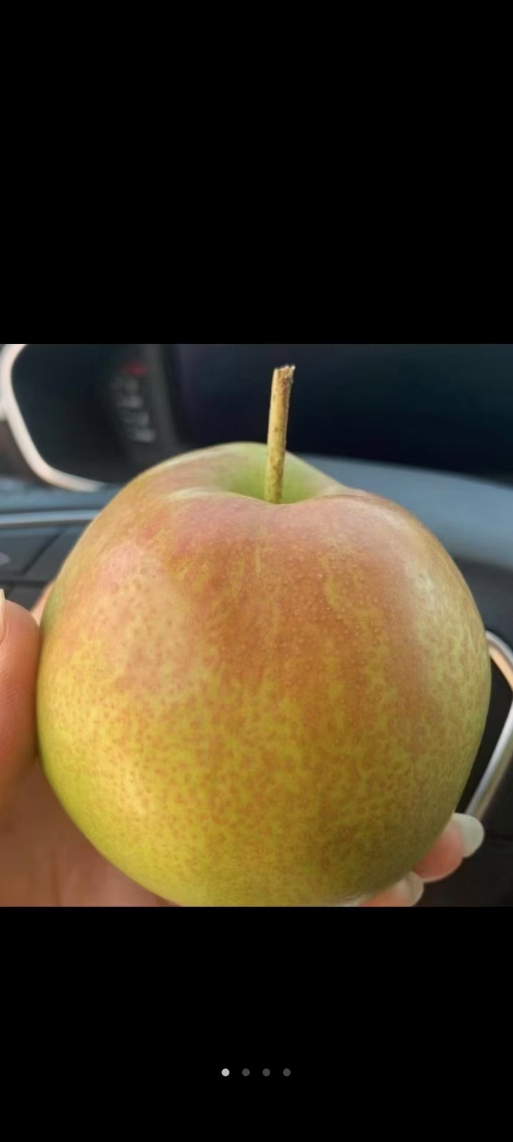 山西正宗玉露香梨