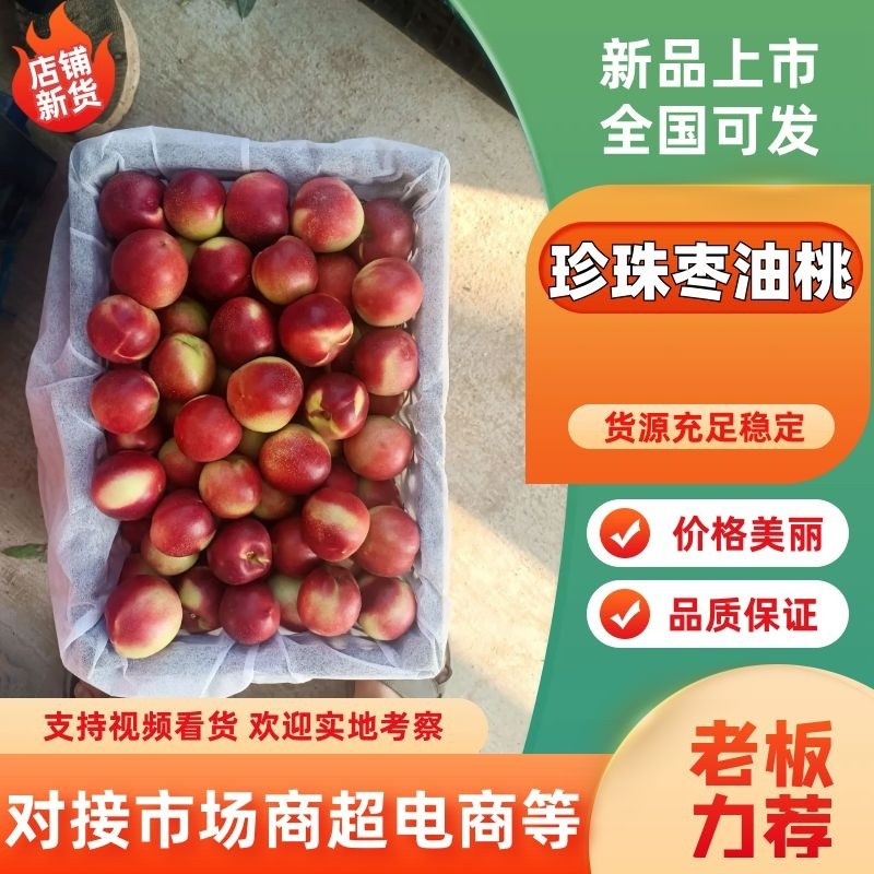 珍珠枣蜜桃批发珍珠枣蜜桃基地珍珠枣油桃价格