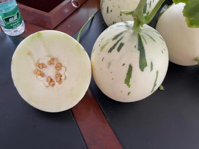 蜜露甜瓜，梦露甜瓜，月露甜瓜，流星瓜大量上市
