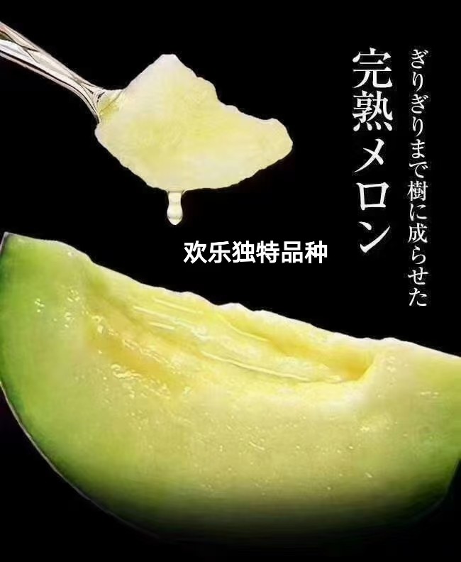 进口品种网纹瓜