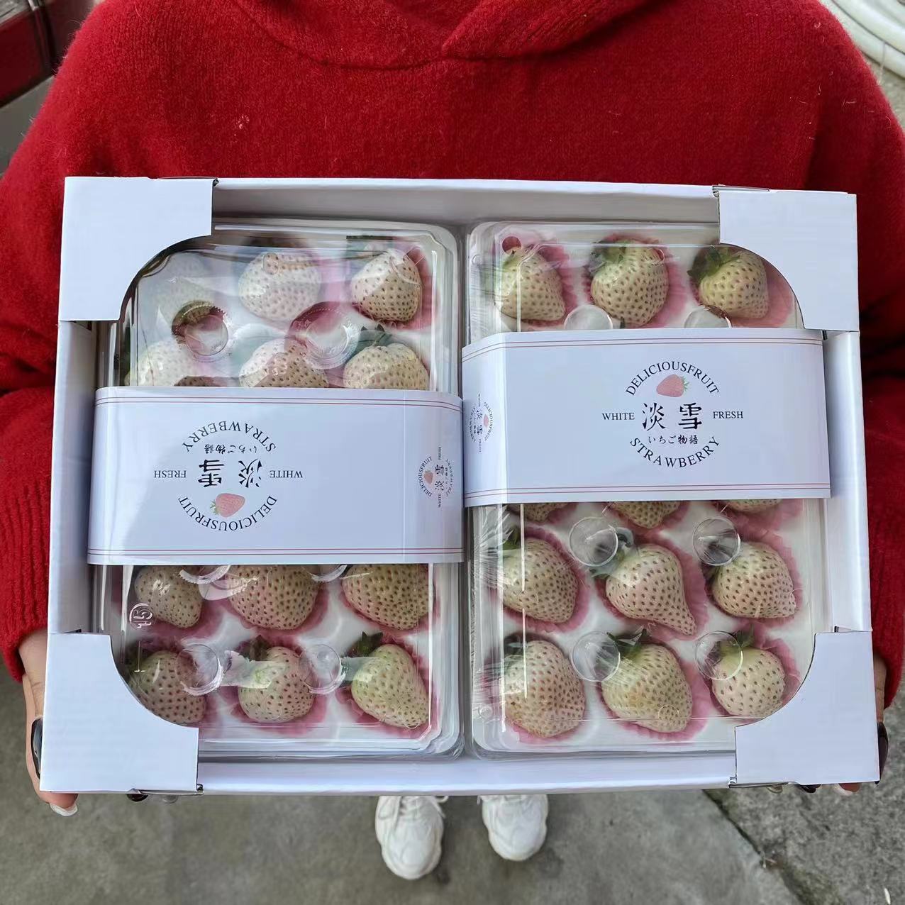 山东白草莓，甜宝草莓香野草莓