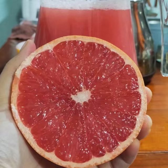 西柚（三红葡萄柚），南非西柚