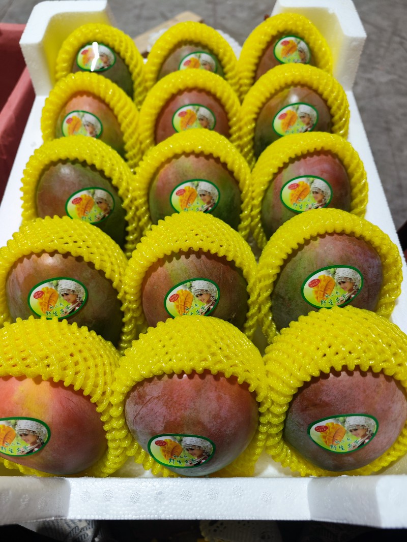 凯特青皮水仙小台