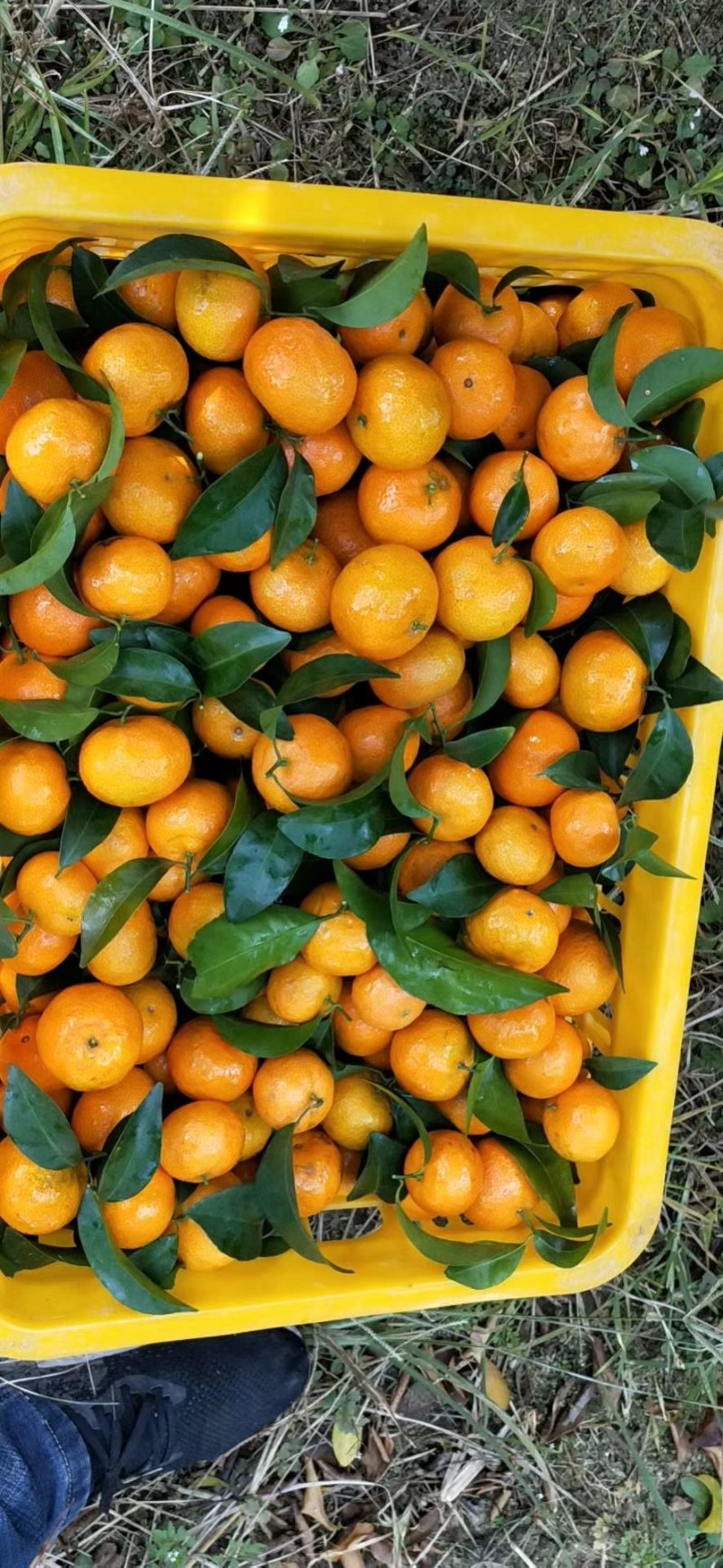 代办 清洗打蜡一条龙服务