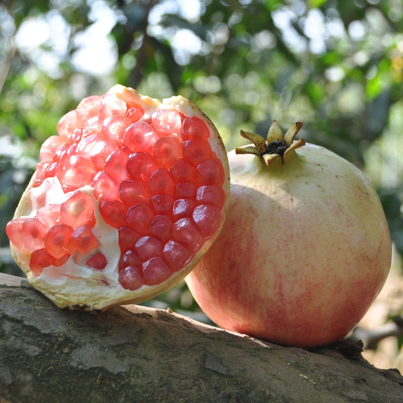 云南蒙自甜石榴