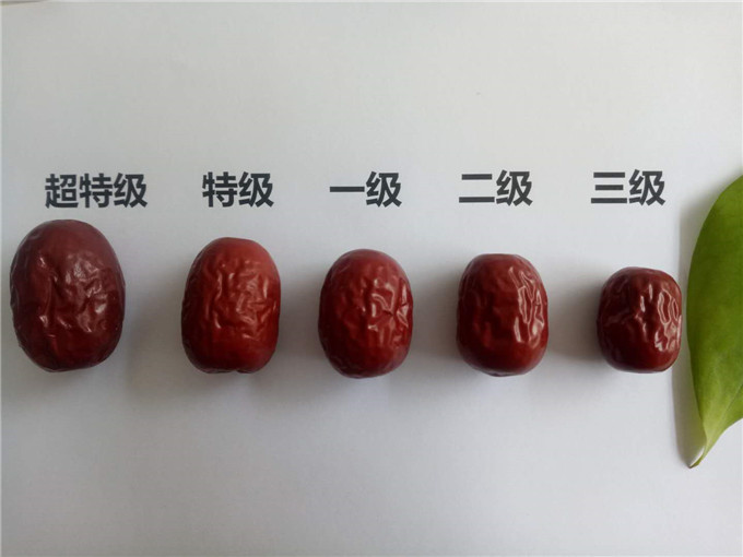 新疆若羌红枣   山东厂家批发 一手货源