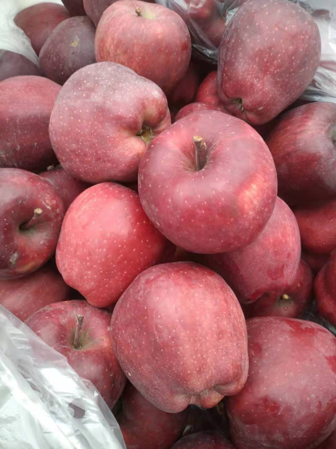 甘肃礼县花牛苹果