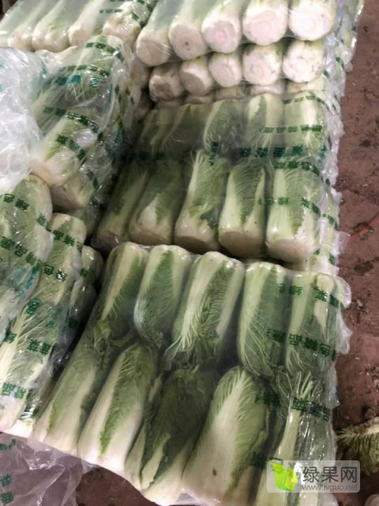 唐山土豆 白菜 青椒 芥菜 萝卜 生姜 大蒜