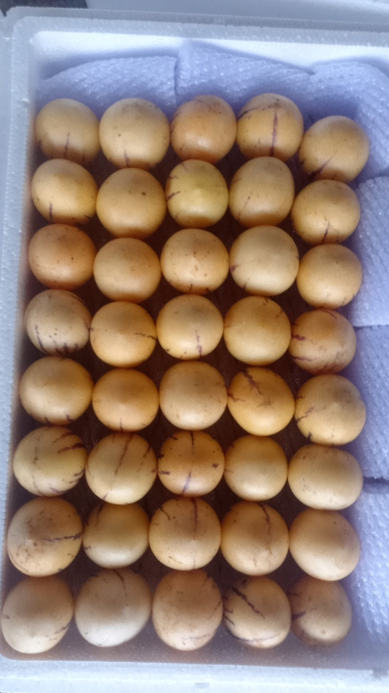 云南石林人参果