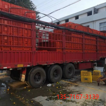 陕西城固蜜桔，柑橘，桔子大量上市，价格公道