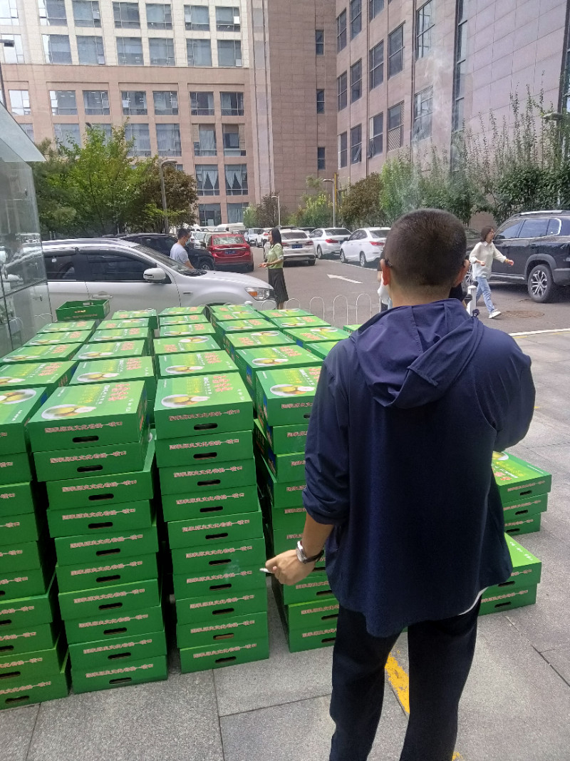 玉露香梨，酥梨，