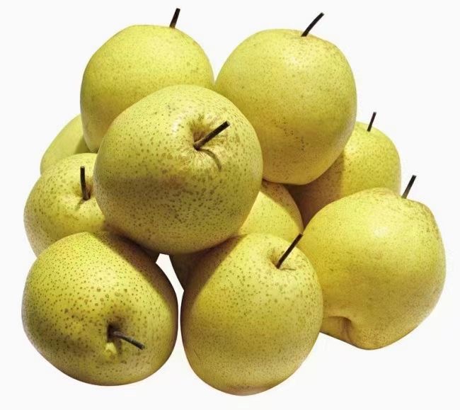 酥梨